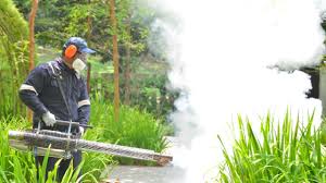 Best Fumigation Services  in Bayshe, OR